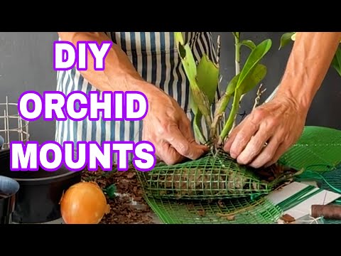 Видео: КРЕПЛЕНИЯ ДЛЯ ОРХИДЕИ: КАК СДЕЛАТЬ ПОТРЯСАЮЩИЕ КОРЗИНЫ ДЛЯ ОРХИДЕИ ЗА ДЕШЕВЫЕ УСЛОВИЯ