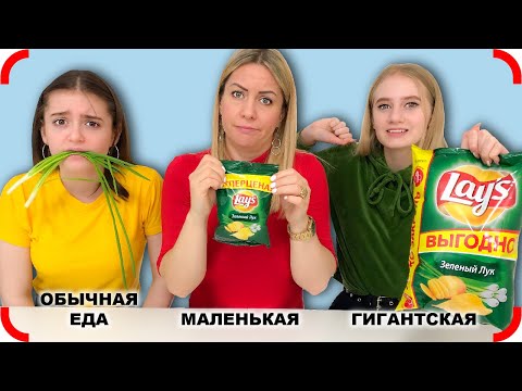 Видео: ОБЫЧНАЯ ЕДА Против ГИГАНТСКИХ и МИНИ Чипсов!!