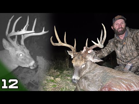 Видео: E12: Иллинойсский хулиган падает, команда в огне