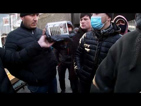 Видео: Панҷшанбе парранда бозор. ш. Хуҷанд | МОЛБОЗОРИ ХУҶАНД