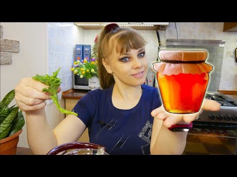 Видео: УКОРЕНЕНИЕ ЧЕРЕНКОВ 🌱 ВСЕ СПОСОБЫ в ОДНОМ ВИДЕО! Комнатные и Садовые Растения — Просто и Эффективно!