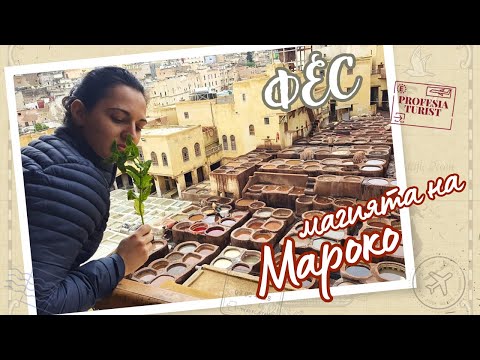 Видео: Фес - магията на Мароко (Професия турист) - Fez, The Magic of Morocco