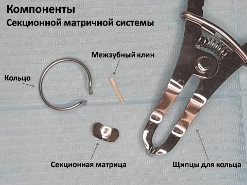 Видео: Наложение секционной матричной системы