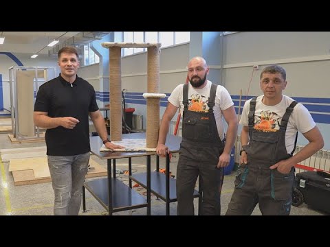 Видео: Бери и Строй | Когтеточка