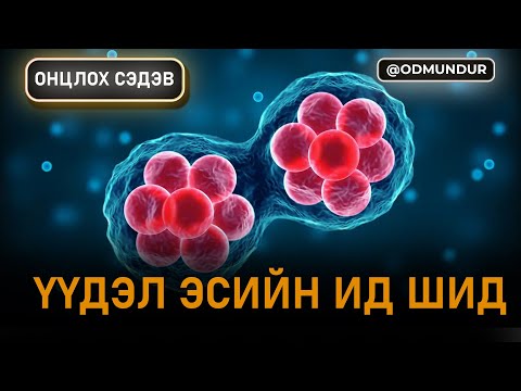 Видео: Үүдэл эсийн ид шид - ОНЦЛОХ СЭДЭВ