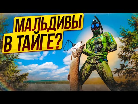 Видео: ЭКСПЕДИЦИЯ НА НЕТРОНУТОЕ ОЗЕРО В ТАЙГЕ.ПОДВОДНАЯ ОХОТА С ГАВАЙКОЙ. КРОКОДИЛЫ ТУВЫ 2021 (часть 1).