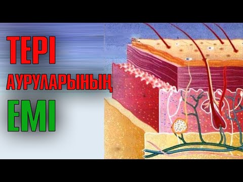 Видео: Тері ауруларын емдеу жолдары | #қышыма #безеу