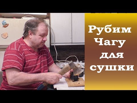 Видео: Рубим Чагу для сушки