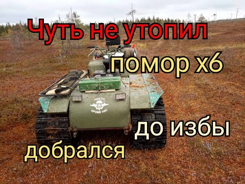 Видео: В лес на рыбалку и постройку бани на Поморе х6