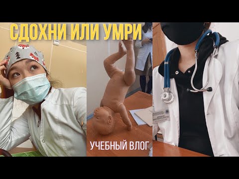 Видео: Сдаю Зачеты Каждый день и пытаюсь не умереть|| будни студента-медика