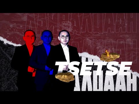Видео: "Дайралцаан" - Tsetse