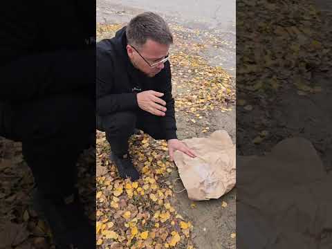 Видео: Заміна колеса в Миргороді #миргород #ремонт #авто #колесо #миколасергійович