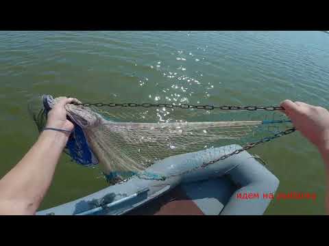 Видео: кастинговая сеть моя кормилица хороший улов