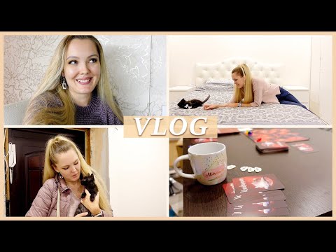 Видео: ШАРЛОТКА | МОСТ | НАСТОЛКИ 🌉