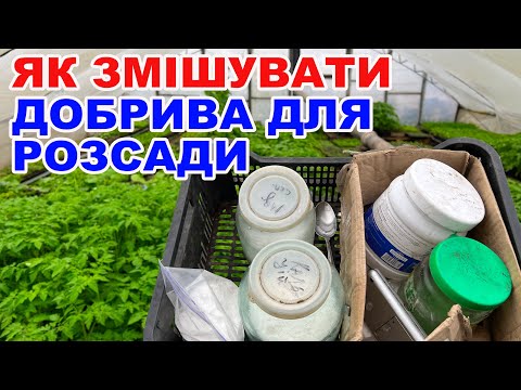 Видео: Помилки при змішуванні добрив: як не зіпсувати розсаду