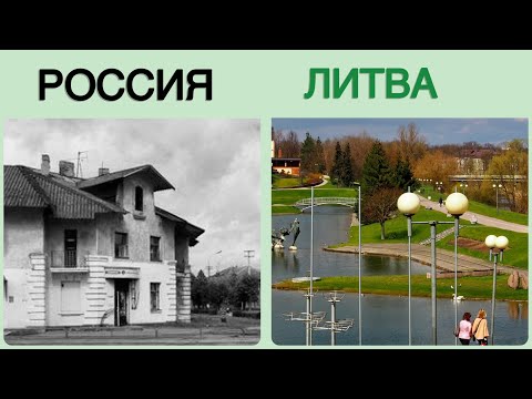 Видео: Дно и Купишкис.Где настоящее дно?