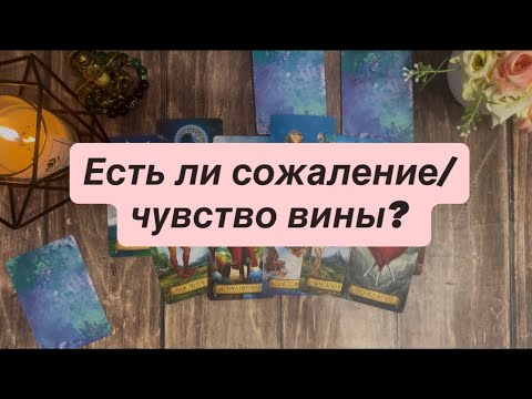 Видео: Есть ли сожаление/чувство вины? 🥹💔