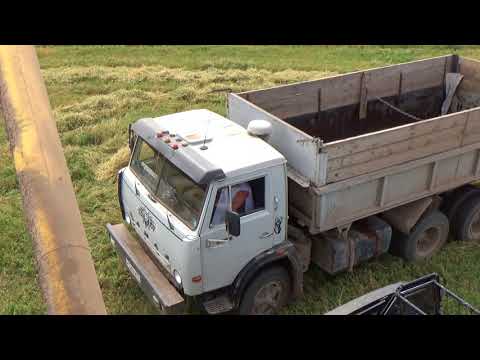 Видео: Уборка ячменя в Уржумском районе.