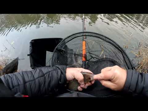 Видео: Супер старица в декабре, попловок, отчёт №350