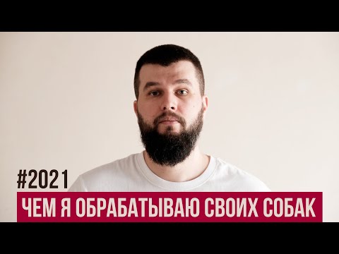 Видео: Чем я обрабатываю собак от клещей и глистов в 2021 году