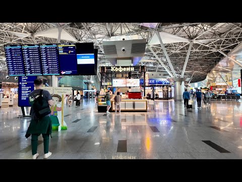 Видео: Аэропорт Внуково: каково лететь из Москвы, когда остальные аэропорты закрыты
