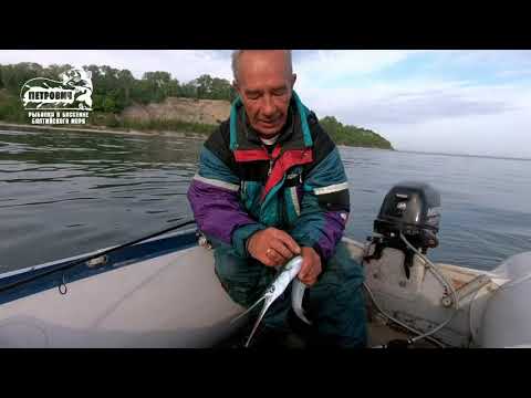 Видео: БОЛЬШОЙ УЛОВ. VLOG: Сарган. Спиннинг. Весна 2018. Балтийское море.