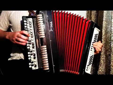 Видео: Михаил Шелег- За глаза твои карие Кавер на баяне с голосом