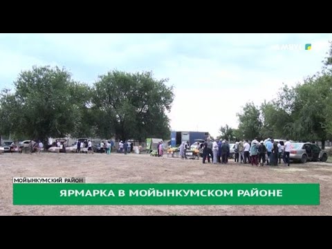 Видео: Ярмарка в Мойынкумском районе