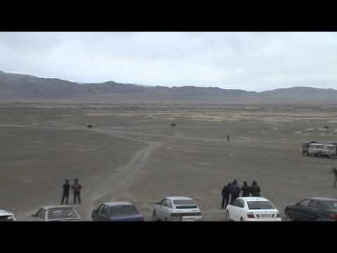 Видео: Байга 210 летие Кош-агача Олимпиада 3км. 1-е место Найман Джатканбаев Мейрим