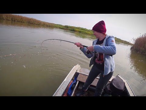 Видео: НА РЫБАЛКУ С ЖЕНОЙ. ПОПАЛИ НА БЕШЕНЫЙ КЛЁВ ОГРОМНЫХ РЫБ. Осенний жор хищника.