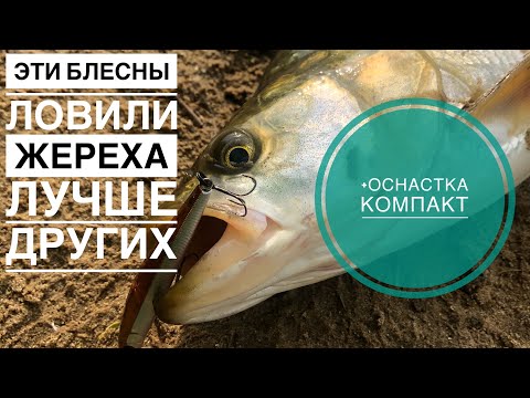 Видео: ОСНАСТКА КОМПАКТ И ЭТИ БЛЕСНЫ ПОЙМАЛИ МНОГО ЖЕРЕХА В ИЮНЕ