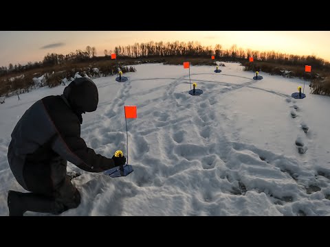 Видео: Расставил жерлицы в камышах.. И клюнул крокодил который не лезет в лунку! Рыбалка 2024.