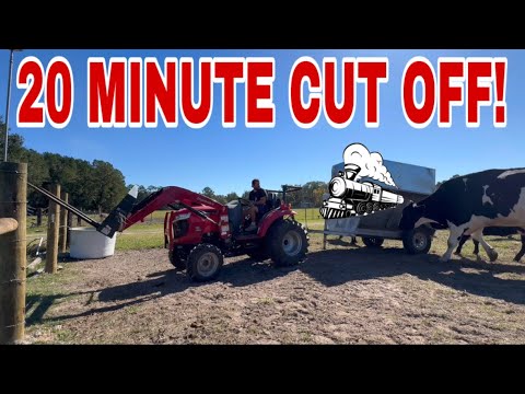 Видео: Я нашел ВИНТОВКУ на заправке!