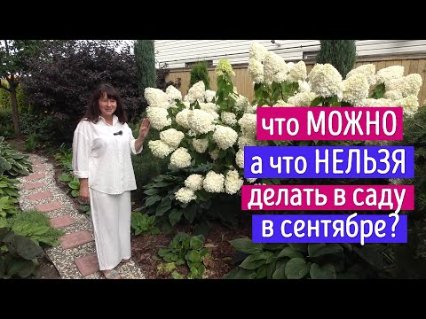 Видео: Что МОЖНО, а что НЕЛЬЗЯ делать в саду в сентябре?