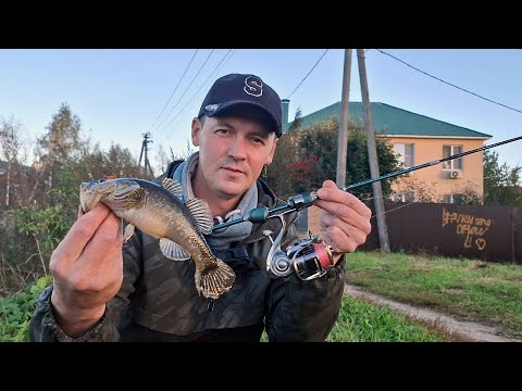 Видео: Мормышинг = кайф! Ловля ротана на спиннинг DAYO Prestige. Рыбалка в Апрелевке.
