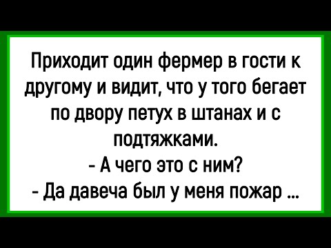 Видео: 🐔Как У Фермера Петух В Штанах С  Подтяжками Ходил! Сборник Смешных Анекдотов! Юмор! Позитив!