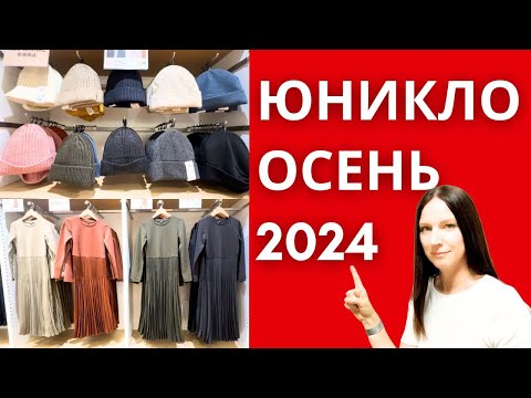 Видео: Юникло новинки осени 2024 года.