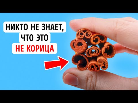 Видео: Факты о еде, которые выведут вашего внутреннего гурмана на новый уровень