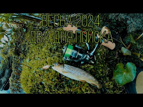 Видео: Форель. Весна 2024.