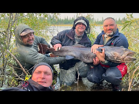 Видео: Рыбалка в Эвенкии. Сплав команды Виктора Савицкого по реке Мойеро в августе 2024 года.