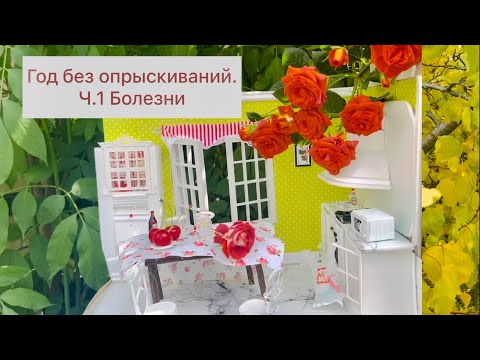 Видео: Что будет если не опрыскивать сад? Задумывались ли вы?