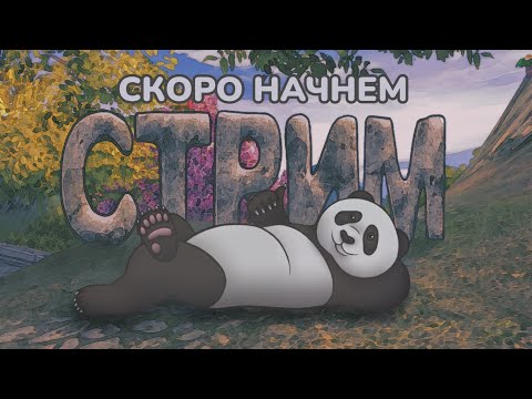 Видео: путь новичка на comeback PW 1.4.6 ХЭ Стрим # 1