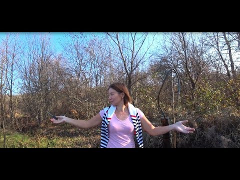 Видео: Источник "Фонтан" Апшеронский район. Нефтегорск