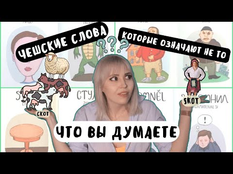 Видео: Чешские слова, которые означают НЕ ТО, что вы думаете