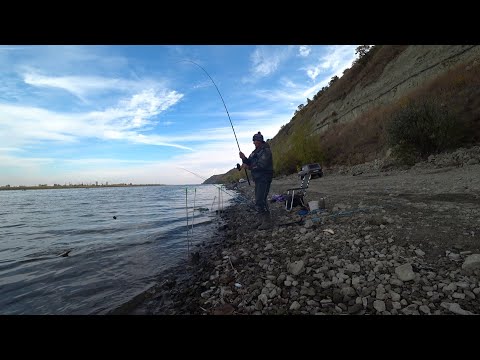 Видео: дон первый выезд на леща с берега🎣🐋📽️💥 на фидер #рыбалка #дон #рыбалканафидер #лещ #рыба #осень 