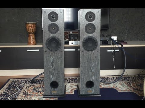 Видео: ОБЗОР акустической системы ASP Loudspeakers "REVELATION REFERENCE SE"