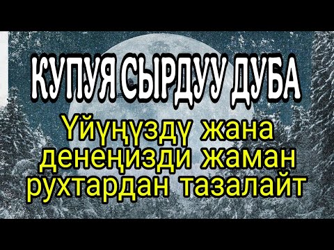 Видео: КУПУЯ СЫРДУУ ДУБА – Үйүңүздү жана денеңизди жаман рухтардан тазалайт!