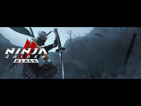 Видео: Проходим Ninja Gaiden 2 Black на НГ+