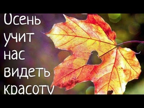 Видео: Посиделки 2024.09.19