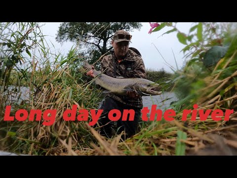 Видео: Долгий день на реке наконец-то окупился 🎣